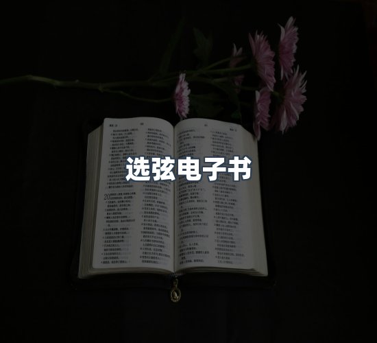关于选弦电子书
